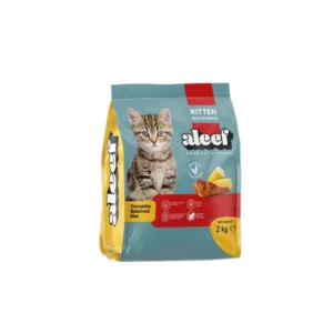 Aleef - Kitten