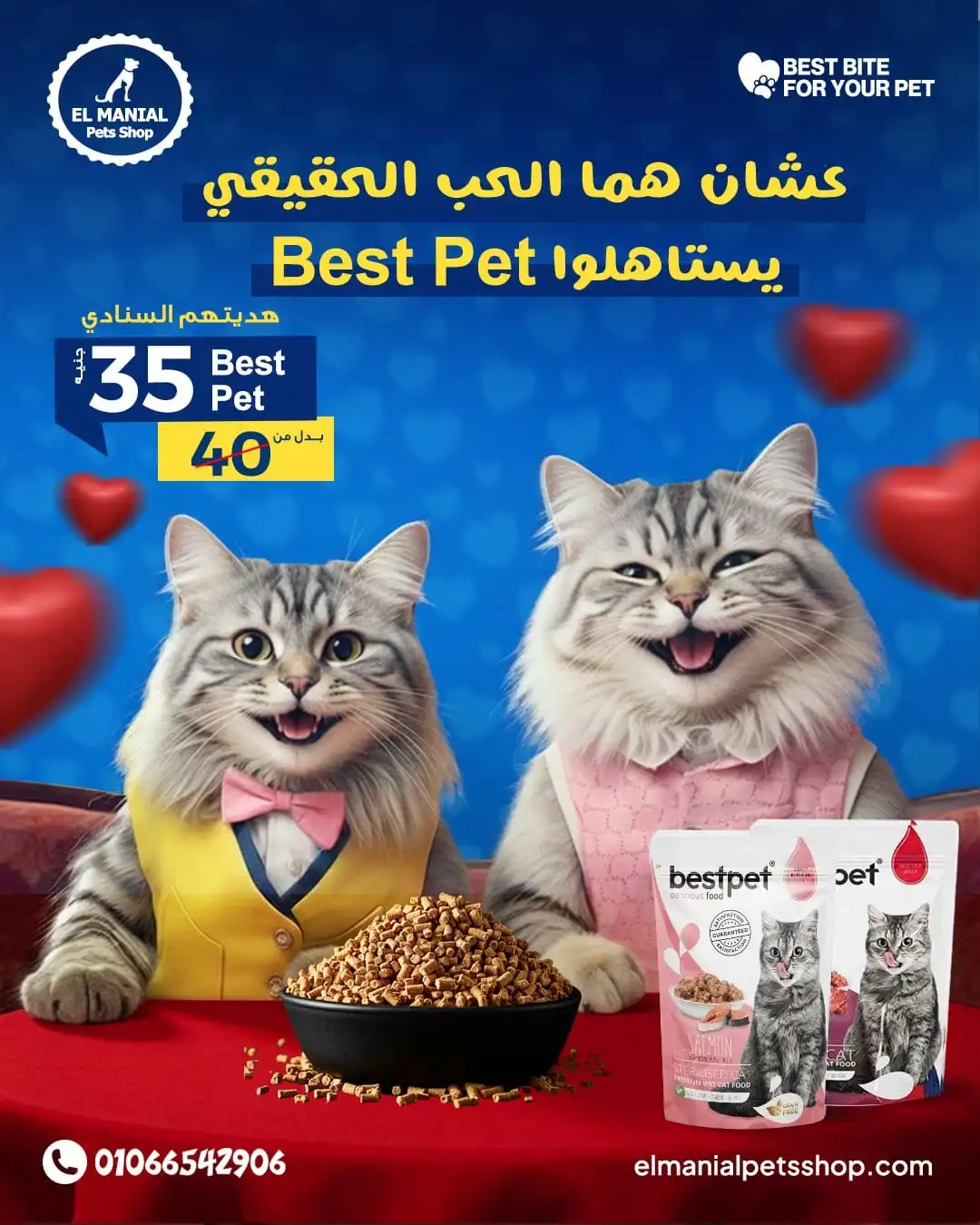 BestPet Dry Food for Cats Only EGP 35 instead of 40