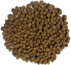 Doodzy Premium Dry Food